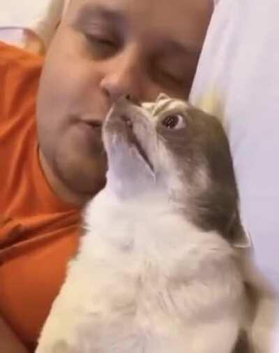 Заведи человека говорили они, будет весело говорили они.