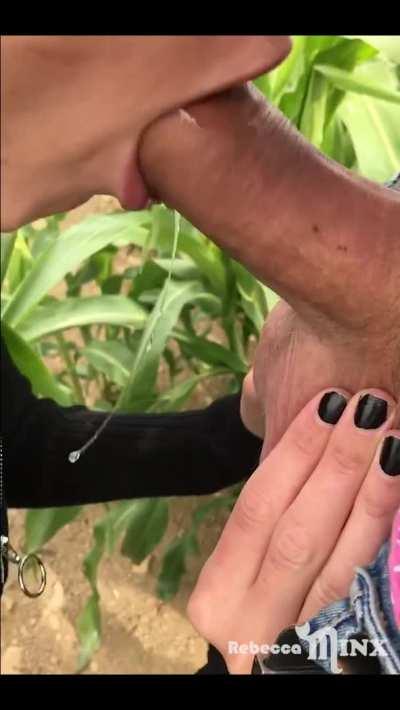 Deepthroat / pit stop in a public field - REBECCA MINX [OC]