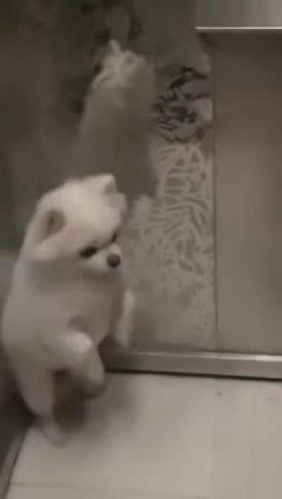 see you later losers