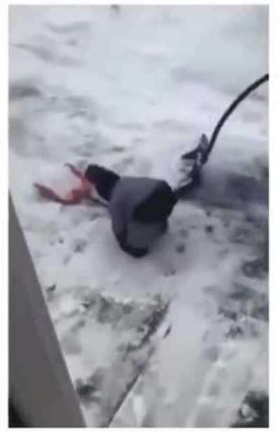 How to reboot your kid.