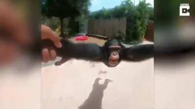 Tom York Radiohead Monkey Smile Happy