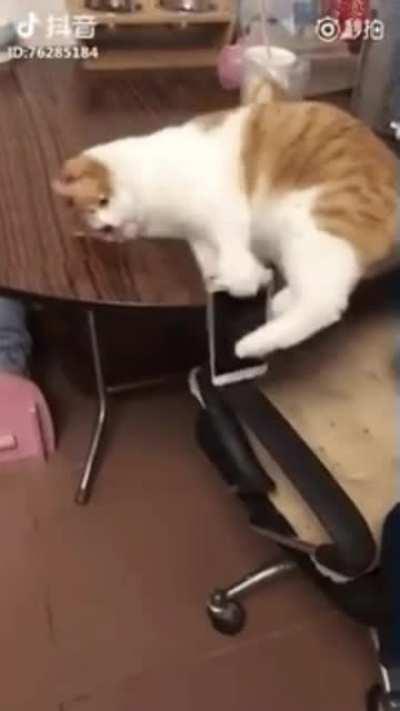 Well atleast he caught it...