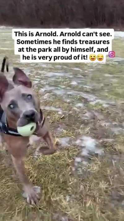 I think Arnold’s happy