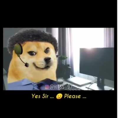 Doge