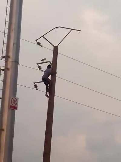 Idiot trys to catch bird on power line
