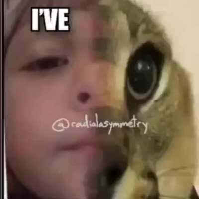 Floppa cat is mad 😤😤😤😤