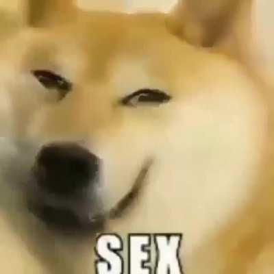 sex