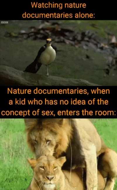 Sooo... What they doin?