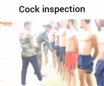 Cock