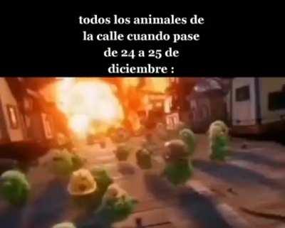 MoaiGreddit - Video #5208