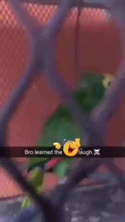 sipping the silly juice