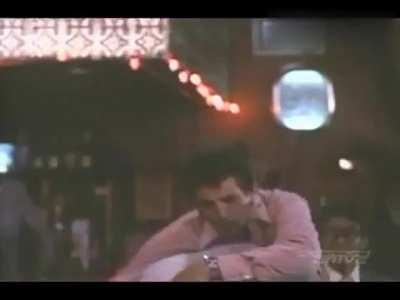 Kitten Natividad In The Wild Life