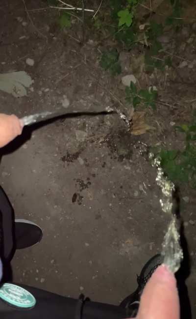 Outdoor piss