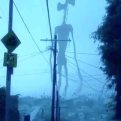 He’s coming. Hide. NOW.