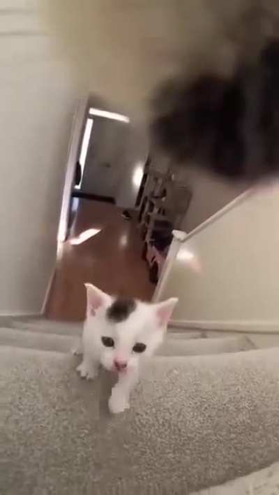 Cant let them out of your sight for one second