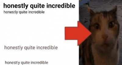 honestly quite incredible