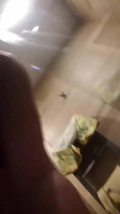 Every post a masterpiece, every angle art 🖼️