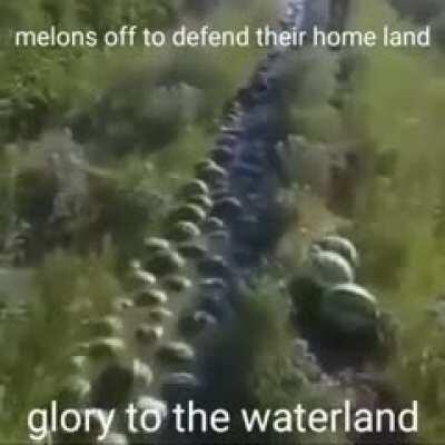 My melon people need me