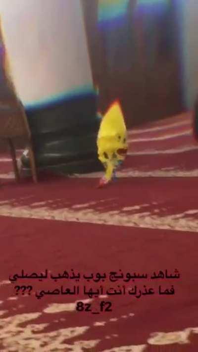 Spongebob 😍 Haram 😳 !!!_+ free robux hack 2020 punjabi india 😩🎼 free windows activation 😋