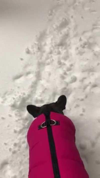 it's the perfect 180° hop for me...