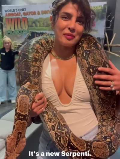 'Notice a theme here… it’s ssssssubtle.' - IG October 2025