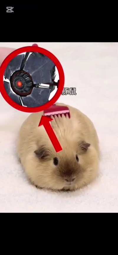 city scanner ahh voice 😭