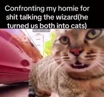 I’ve got a potion for that