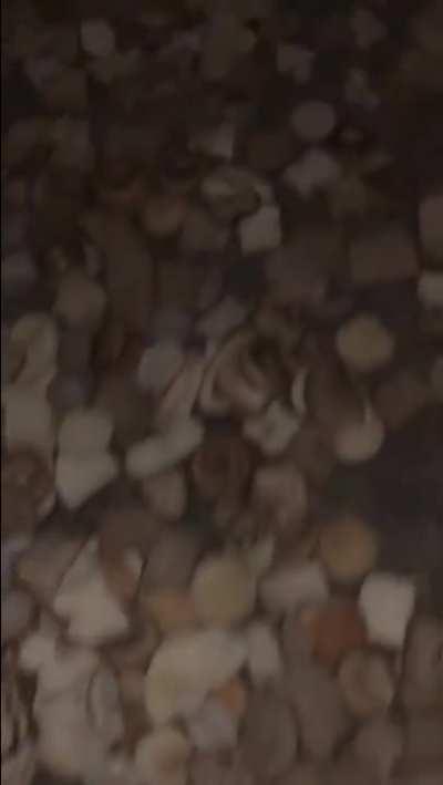 I've done nothing but teleport bread for 3 days