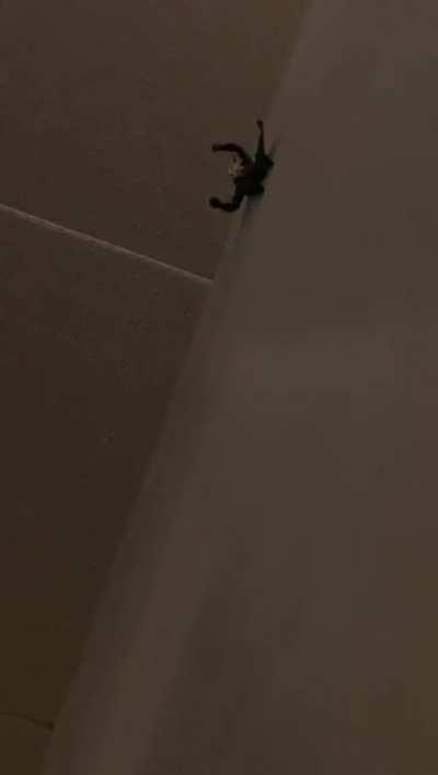 My girl and I were drinking at a friend’s house. I saw weird shit between them so i acted like the drinks were too much and went to sleep in the 2nd floor bedroom. But i left my phone recording on the basement floor. This was in my phone the next morning 