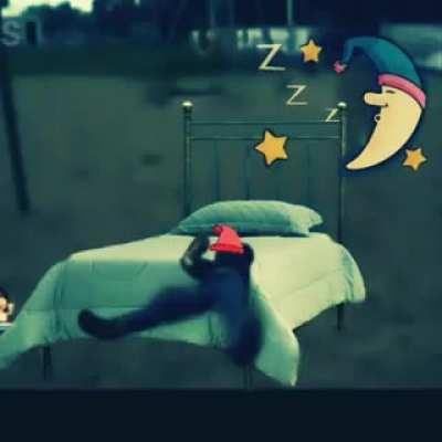 Sleeping 🥱🙏💤