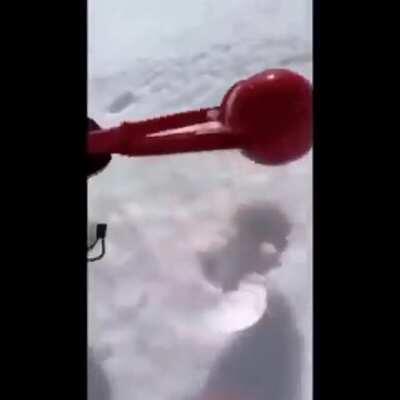 Meanwhile in siberia: