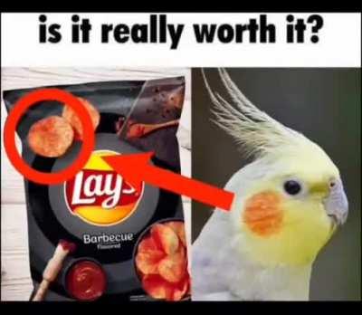 is it really worth it?