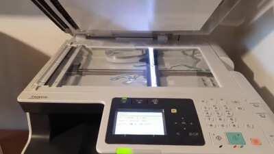 What did you think would happen?