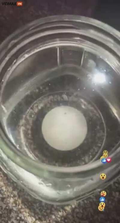 Texas Woman Finds Parasites Swimming In The Tap Water