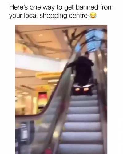 Does this belong on this sub? Guy loses it as his friend takes an E-wheelchair up an escalator!!