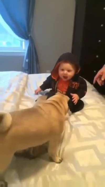 Happy zoomies ever❤🤗❤