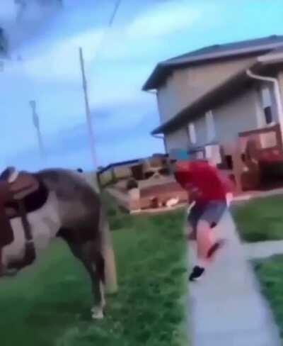 Man Tries To Jump On A Horse With Bad Results