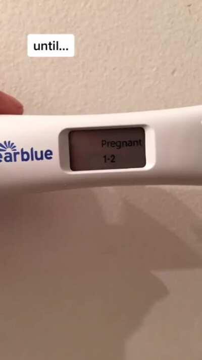 Tik Tok never seems to disappoint