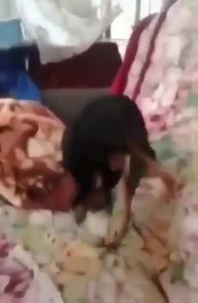 Os outros mortais q tentaram sucumbiram a loucura.