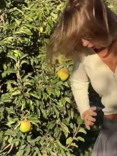 'Cosmic crisp' - IG November 2025