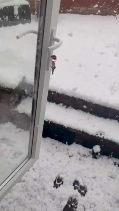 That’s a big NOPE for the doggo