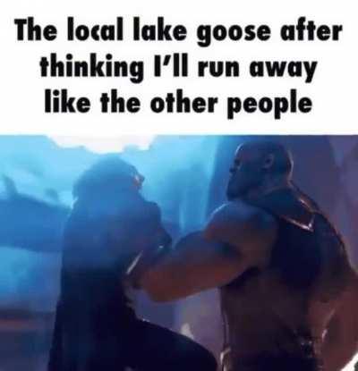 me when i find gose🪱🪱🦍🦍