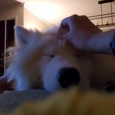 Miku wishes everyone a good snooze