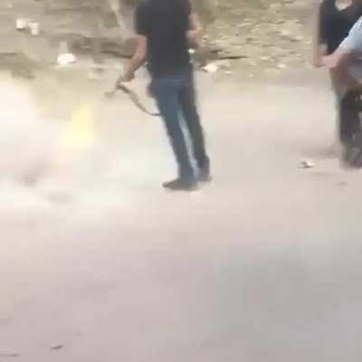 When my colonists throw a party