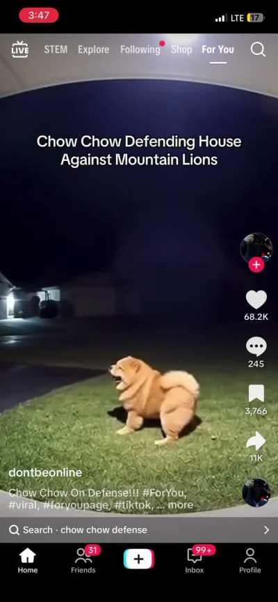 [HELP] please, I’m pretty sure this is ai, right?