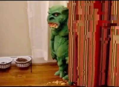 Zach finally caught his big break.