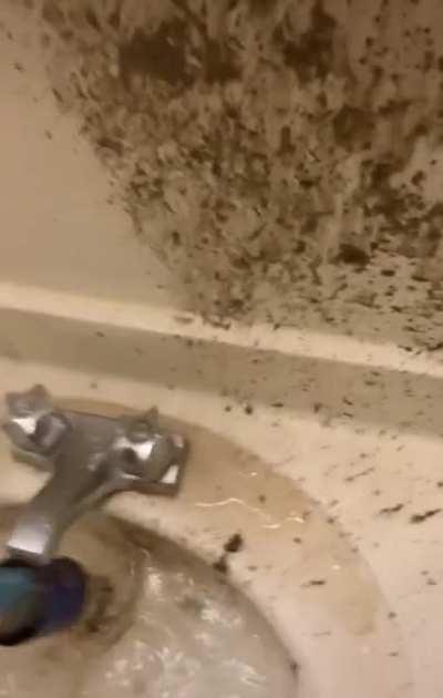 Well there is your problem! Not my content OP in post.