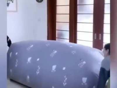 kid noclipped out of reality