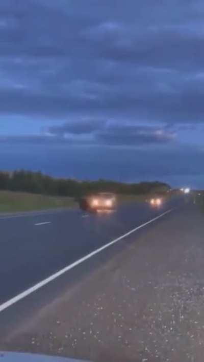 Moose running in-front of a moving car