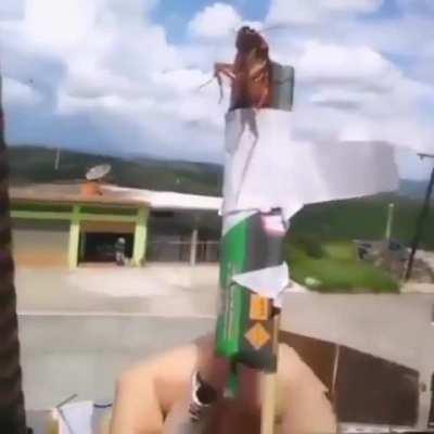 Brasil, no lo entenderias